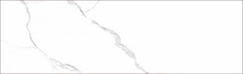 KGA8026003-5